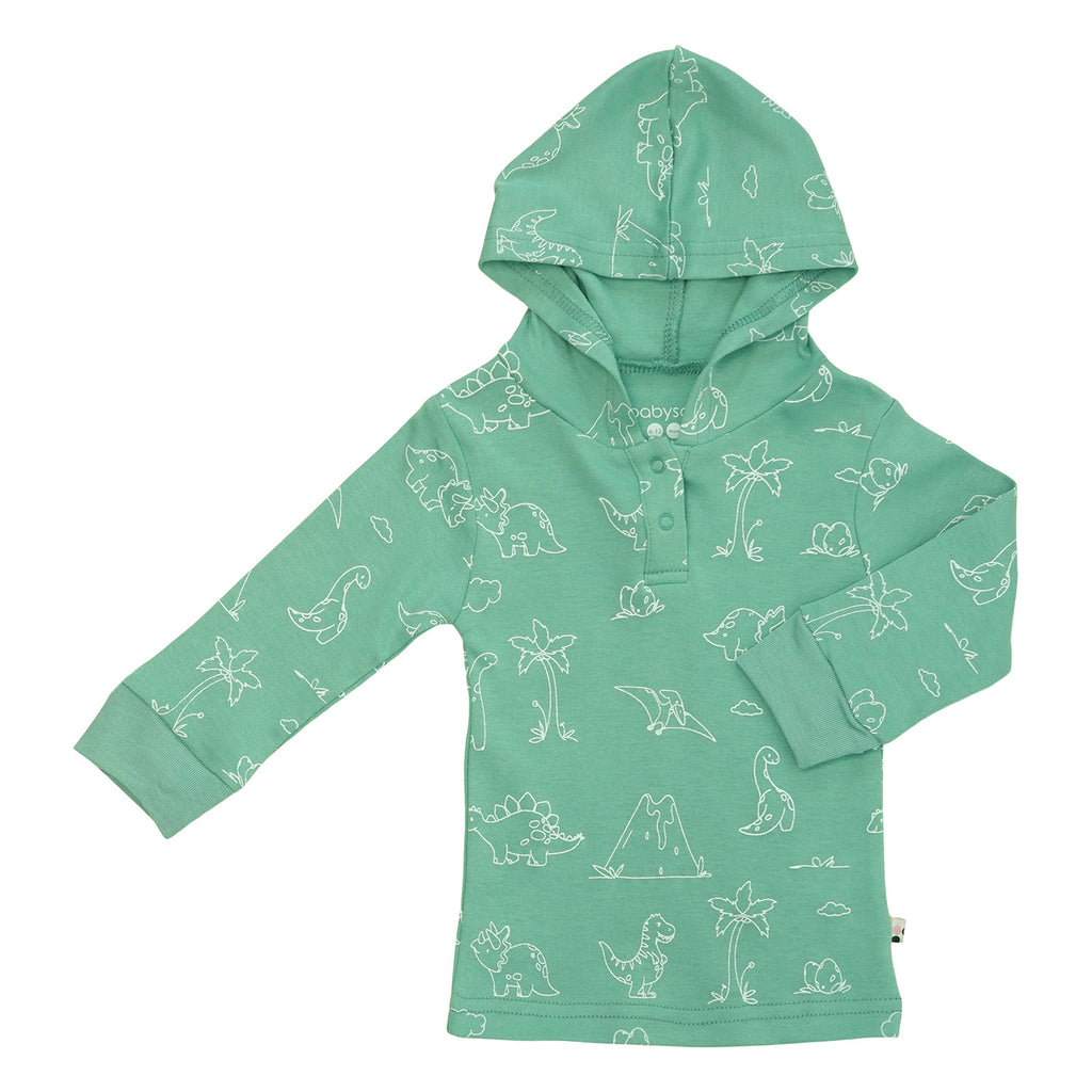 Toddler Clouds Hoodie Tee in dinosaurs dragonfly green